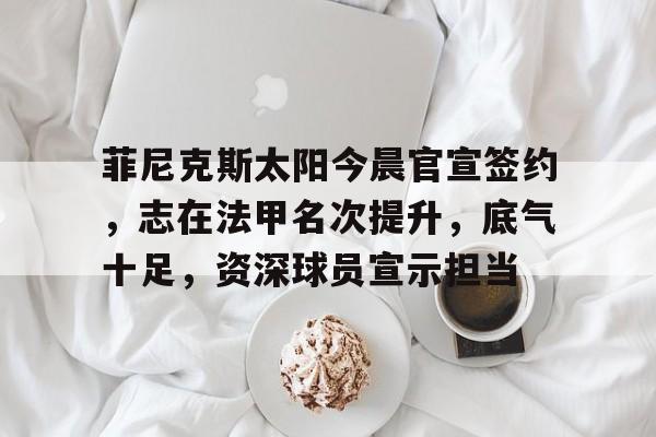 开云-关于菲尼克斯太阳今晨官宣签约，志在法甲名次提升，底气十足，资深球员宣示担当的信息